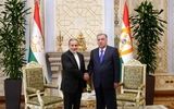 هم‌زبانی در قصر ملت
