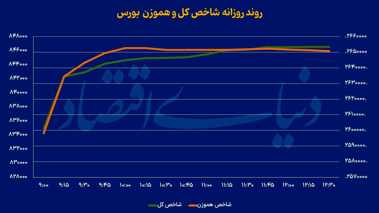 لبخند در اردوگاه بورس‌بازان