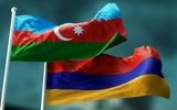 همسایه جدید در دالان شمالی!