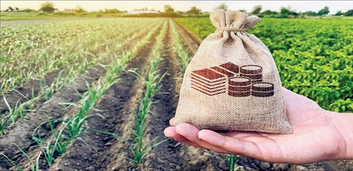 کشاورزی در اصفهان؛ از شکوفه تا خسارت