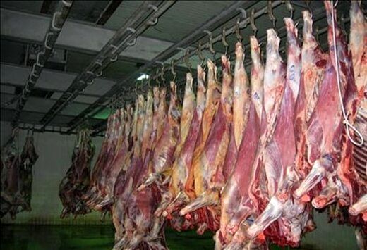 گوشت گوساله چقدر گران شد؟