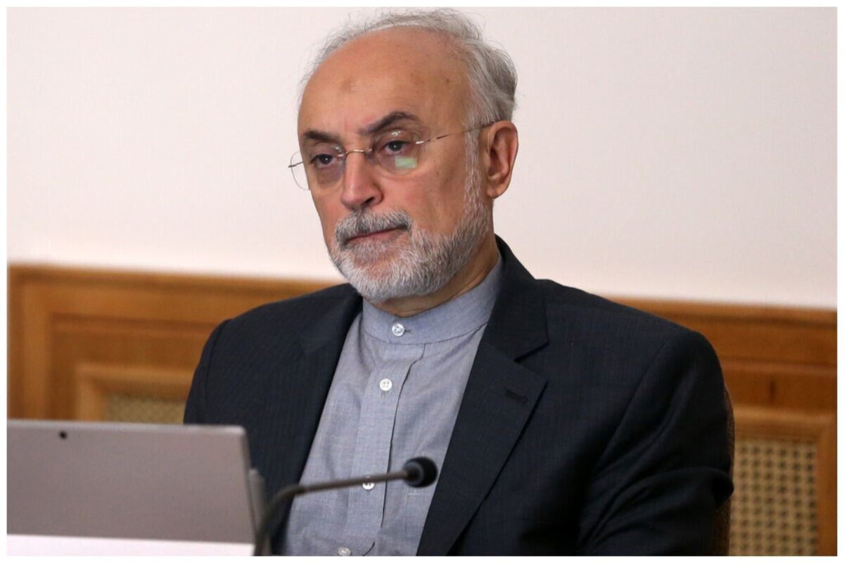 تاکید صالحی بر اهمیت شرکت در انتخابات/ما دیگر غلام حلقه به گوش هیچ قدرت جهانی نیستیم