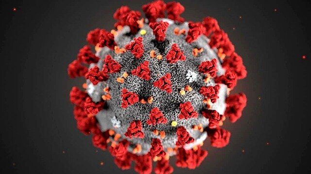 تفاوت مهم ویروس کرونا با سرماخوردگی 