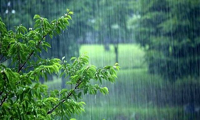 بارش باران در این استان ها از فردا 