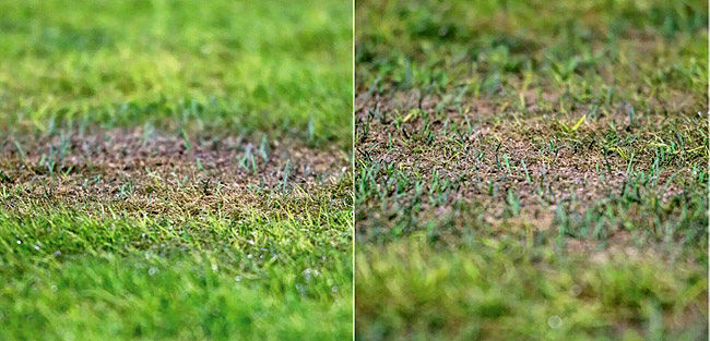 چمنی که مایه «آبروریزی» است