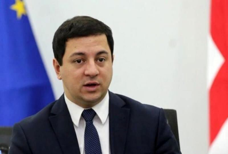 رییس پارلمان گرجستان استعفا داد