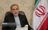 کنایه سنگین ولایتی به امارات/ جغرافیا با بیانیه عوض نمی‌شود