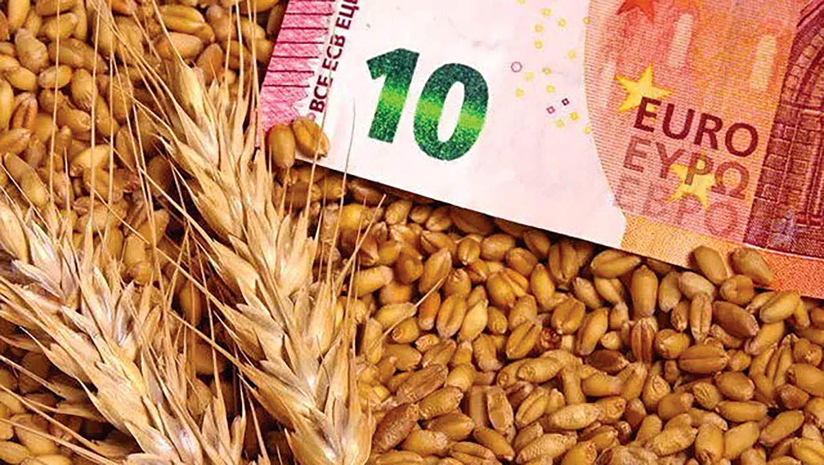 کاهش شاخص جهانی مواد غذایی
