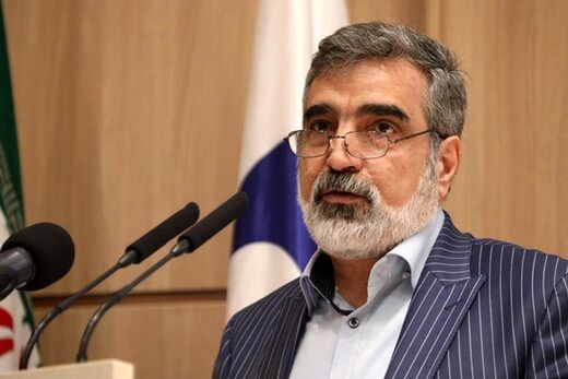 کمالوندی: رفتار نامناسب آژانس با ایران یک واقعیت است