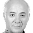 سید محمدرضا  غفاری 