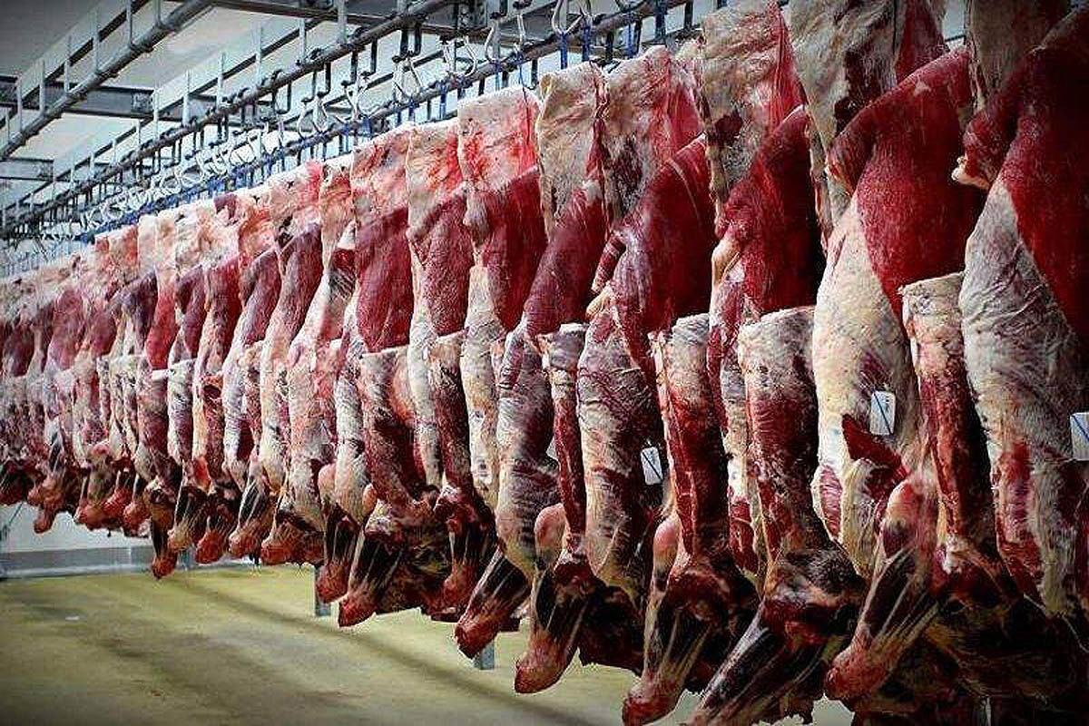 سود بازرگانی ۱۱ ردیف تعرفه گوشت گوساله  تا پایان سال ‌صفر شد