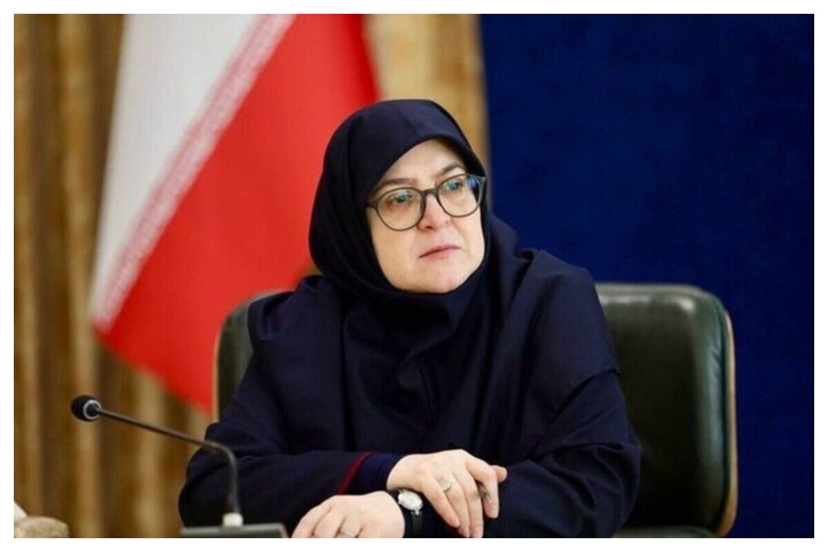 سخنگوی دولت به منطقه آزاد انزلی سفر کرد + فیلم