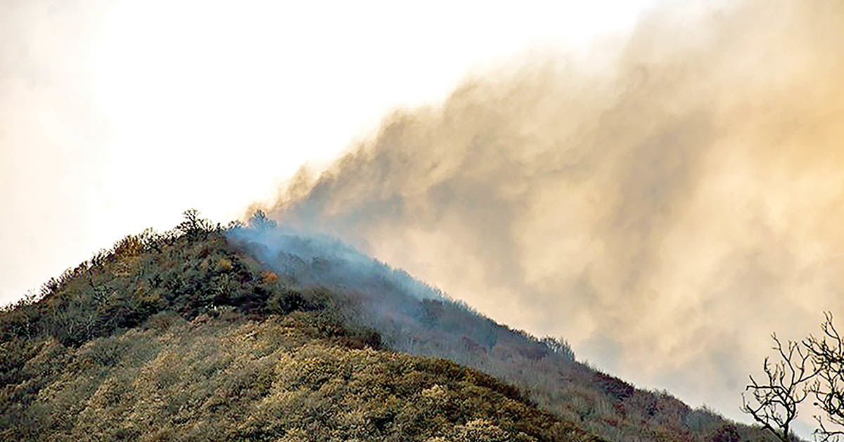 با هرگونه قصور در وقوع آتش‌سوزی جنگل‌‌‌‌‌‌‌‌های هیرکانی برخورد می‌شود