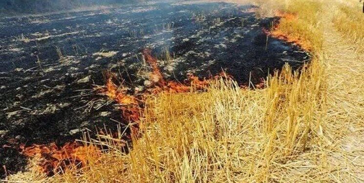 یک روستا در فیروزکوه طعمه حریق شد
