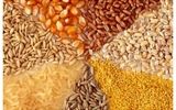 تداوم تخصیص ارز 28500 تومانی برای برخی کالاهای اساسی
