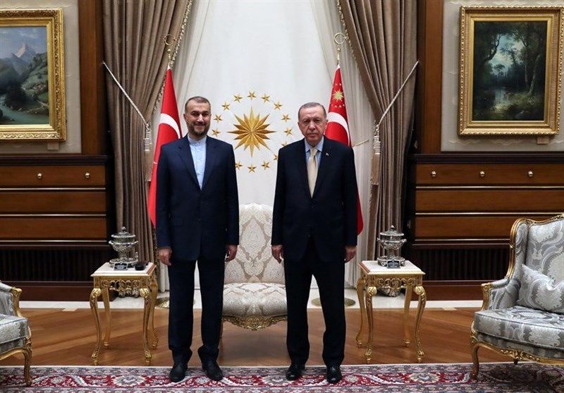 امیرعبدالهیان با اردوغان دیدار کرد