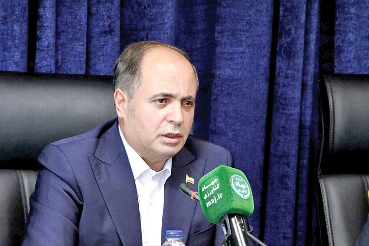 جلوگیری از سودجویی واردکنندگان برنج