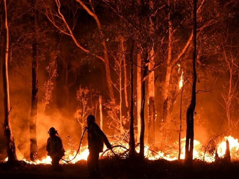 افزایش آمار حریق در جنگل‌ها/ 90 درصد آتش‌سوزی‌ها غیر طبیعی است