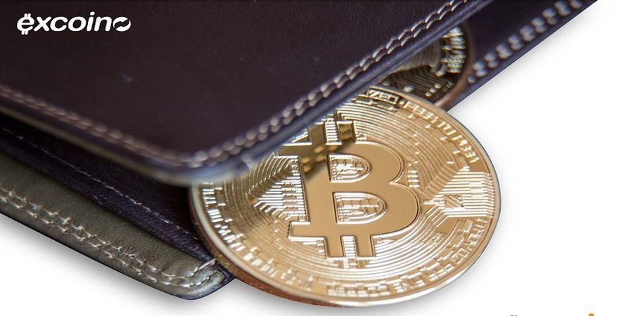 مثبت شدن بازدهی چهار ارز دیجیتال مهم دنیا در 24 ساعت گذشته