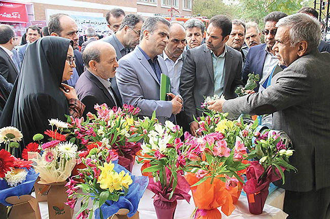 درآمد 5 میلیون دلاری گلخانه‌های تهران از محل صادرات