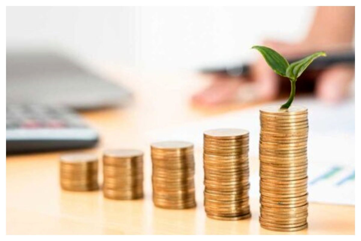 سهامداران در سال 1404 چقدر سود دریافت کردند؟