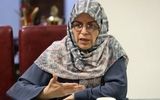 وفاق بی سابقه در دولت پزشکیان/ آذر منصوری: انسجام بین شهروندان شکل گرفت، حتی آنها که غیرخودی تلقی شدند