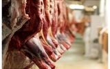 آغاز عرضه گوشت تنظیم بازاری/ قیمت‌ها ارزان شد؟+ فیلم