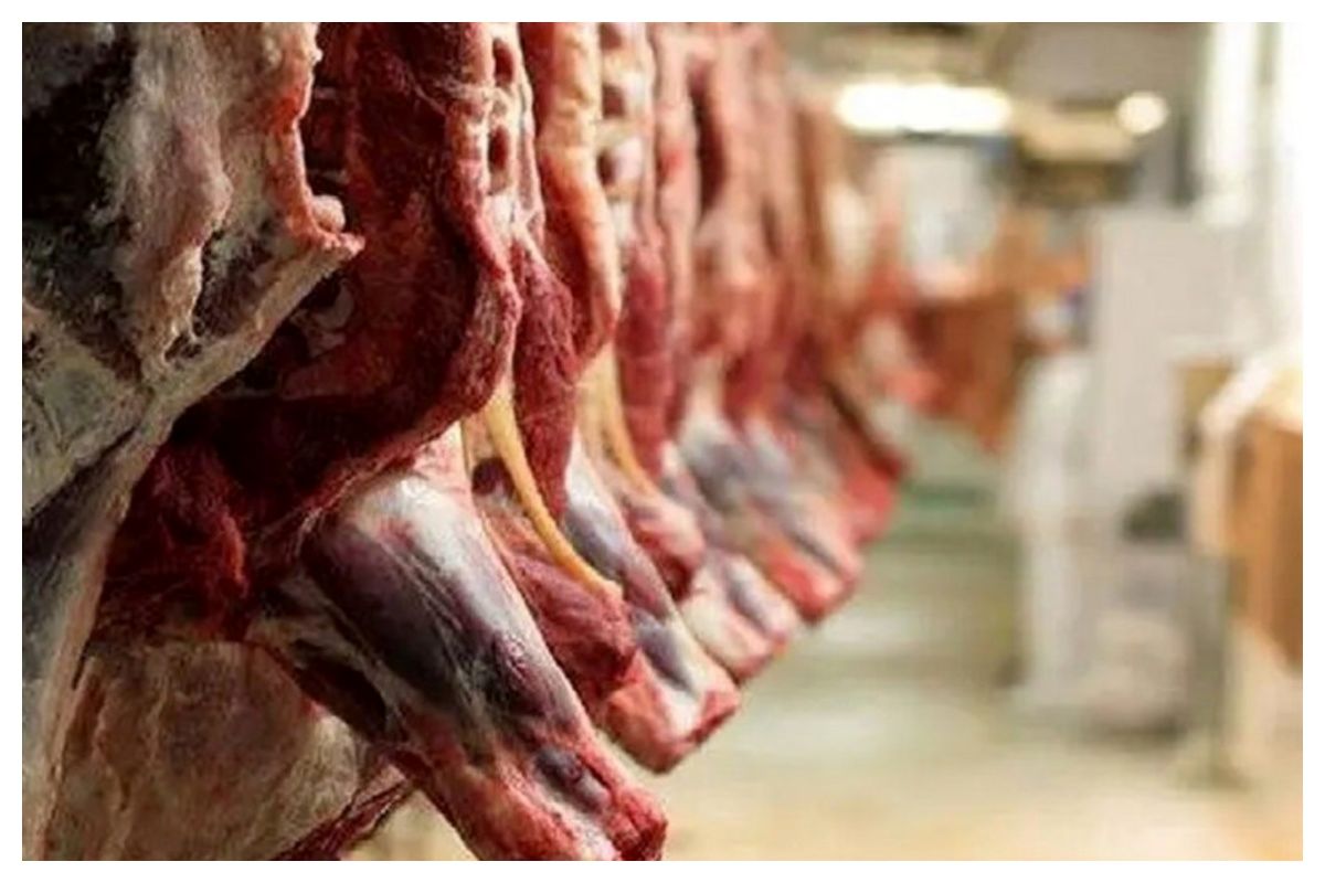 گوشت ارزان می شود؟