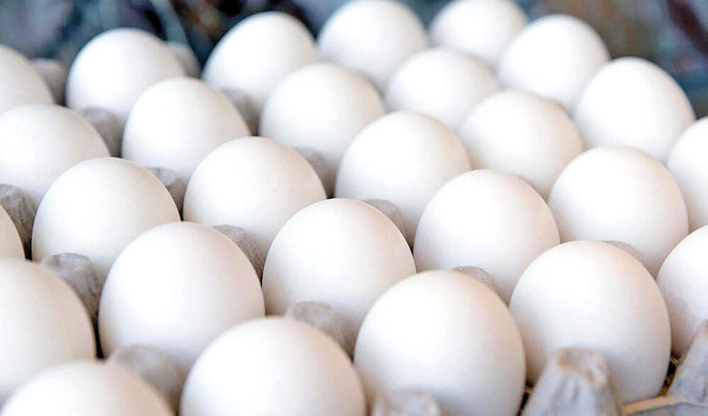 قیمت مصوب مرغ و تخم‌مرغ تغییر نمی‌کند