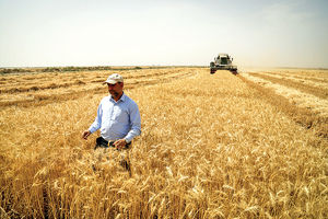 امنیت غذایی در خلأ سیاستی