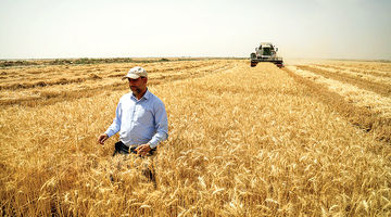 امنیت غذایی در خلأ سیاستی