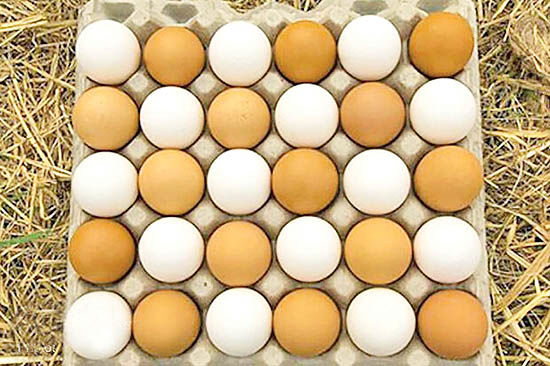 ابلاغ دستورالعمل   درج قیمت روی دانه‌های تخم‌مرغ