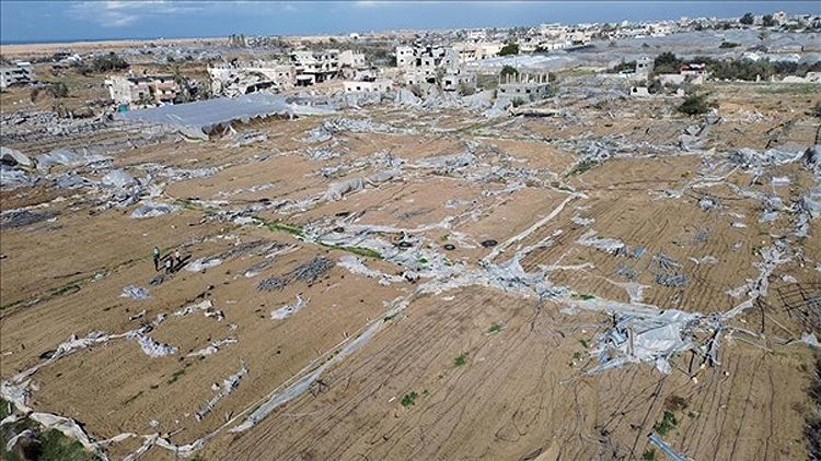 چالش اجساد 