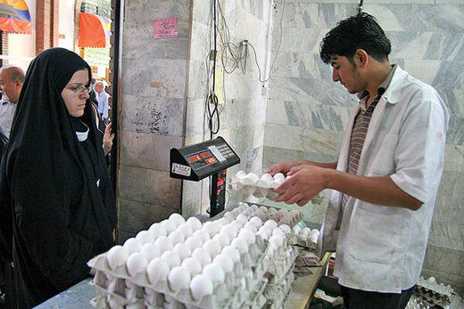 قیمت یک شانه تخم مرغ چند؟