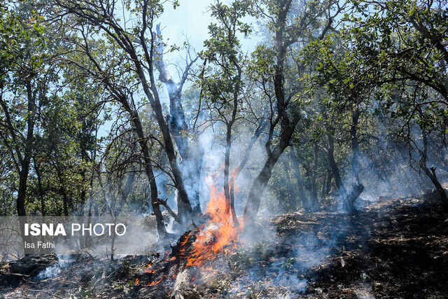 ادامه آتش‌سوزی در جنگل‌های گچساران پس از ۳ روز 
