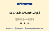 بحران ارزی ترکیه، نتیجه انحراف از اقتصاد آزاد