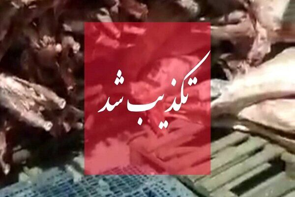 واردات گوشت حرام به کشور صحت دارد؟