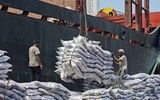 تخلیه کالاهای اساسی در بندر شهید رجایی