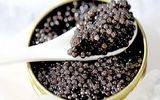  خاویار هرمزگان در سفره روس‌ها