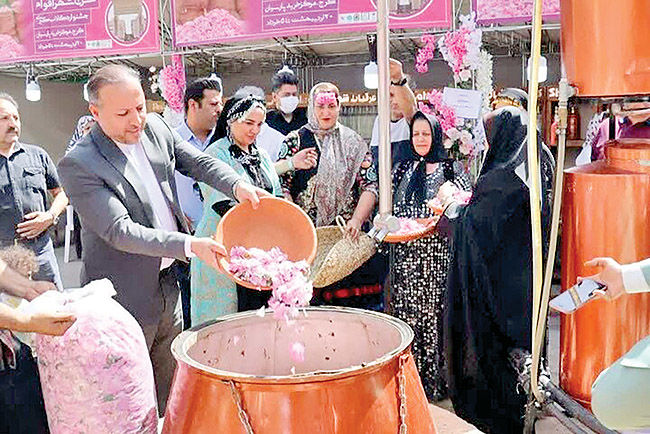 آیین گلاب‌‌گیری کاشان جهانی شد