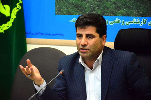 خرید گندم در آذربایجان شرقی از مرز ۱۰۰ هزار تن گذشت