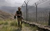 عملیات امنیتی مرگبار در پاکستان/ ۷ تروریست کشته شدند