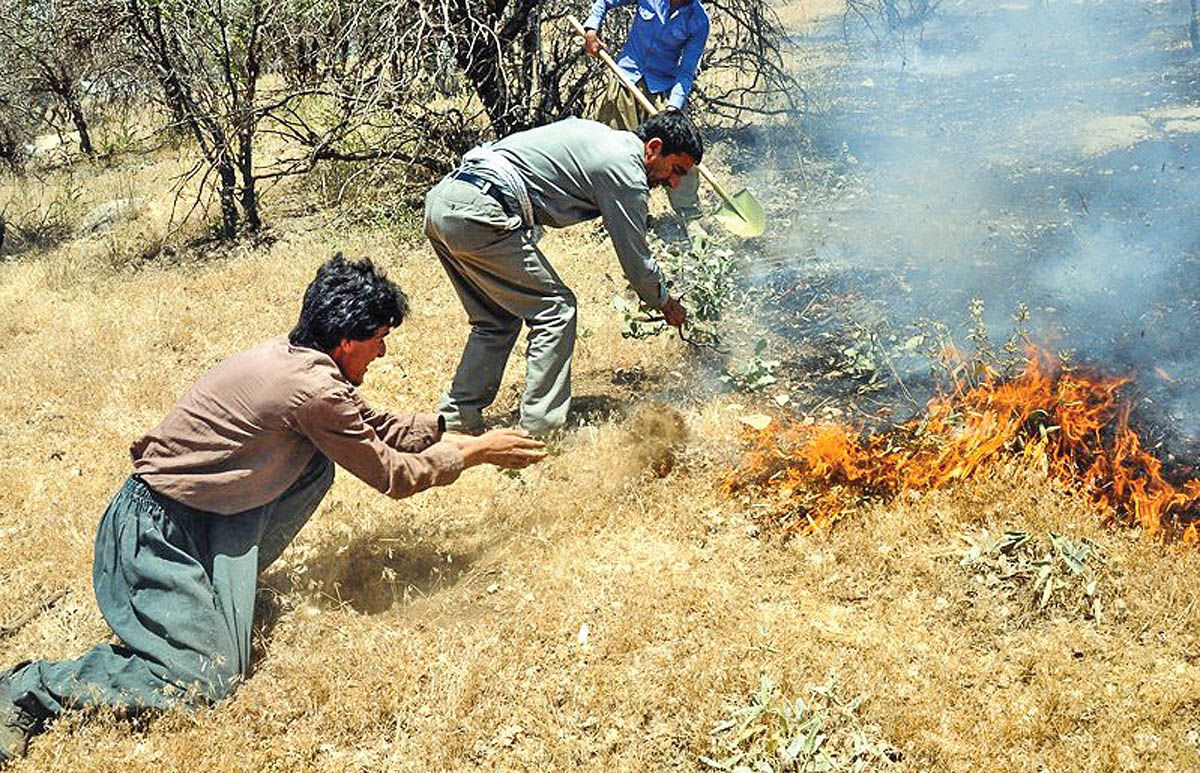 زاگرس، خاکستر می‌شود