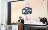 بادام محصولی که باید به نام خسروشاه ثبت شود
