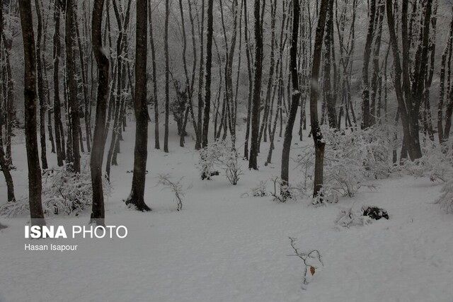 تداوم خشکسالی در کشور / افزایش 11 درصدی آمار بارش ها هم کارساز نیست / تهران؛ کم‌بارش‌ترین استان شد
