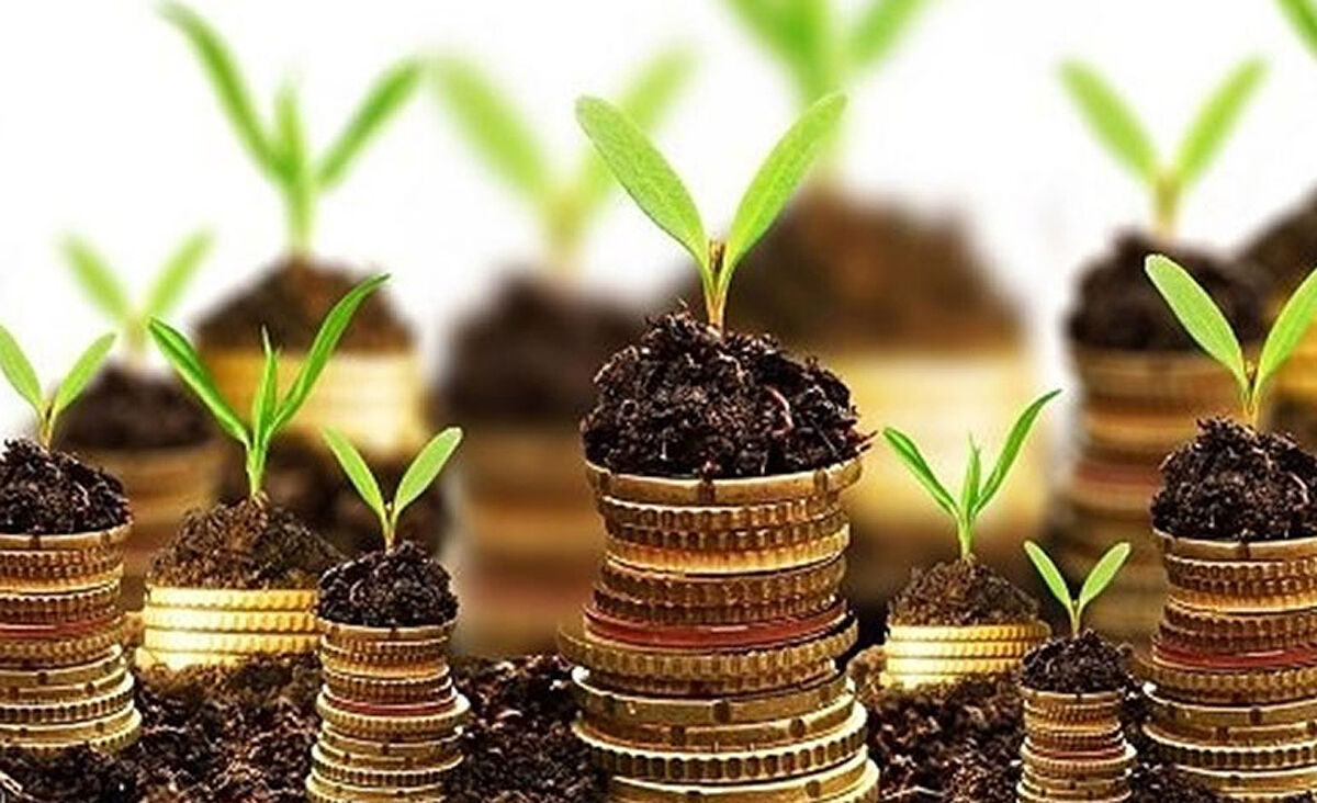 اعطای تسهیلات تکلیفی قرض‌الحسنه برای شرکت‌های دانش‌بنیان