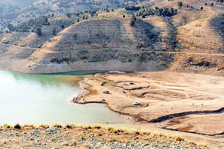 نسخه نجات از تنش آبی 