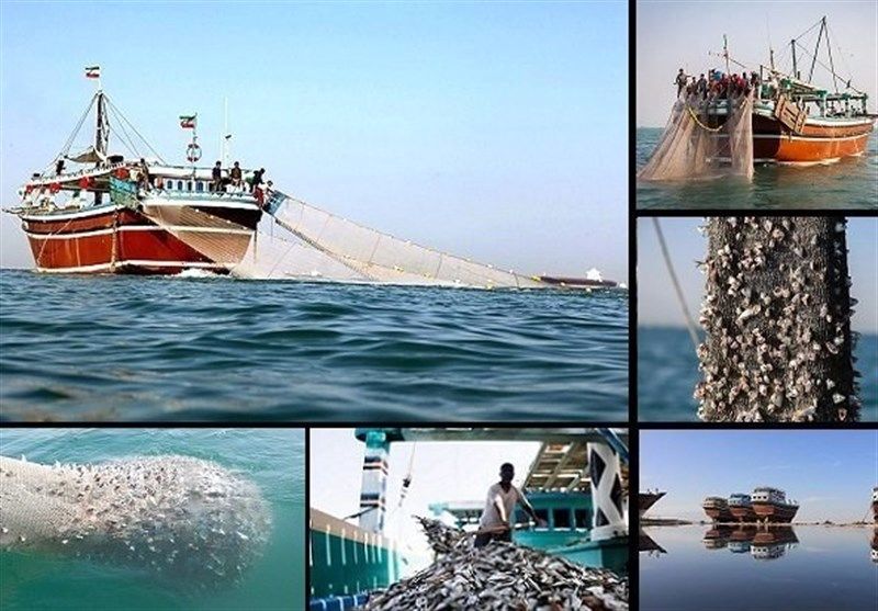 بانک ذخایر دریایی ایران افتتاح شد + جزییات