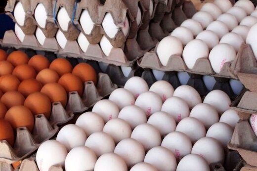 هر شانه تخم مرغ را چند بخریم؟