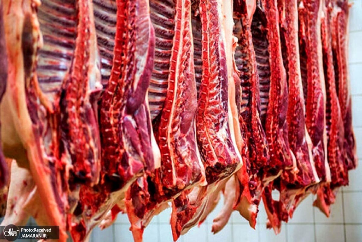  قیمت جدید گوشت قرمز در بازار 